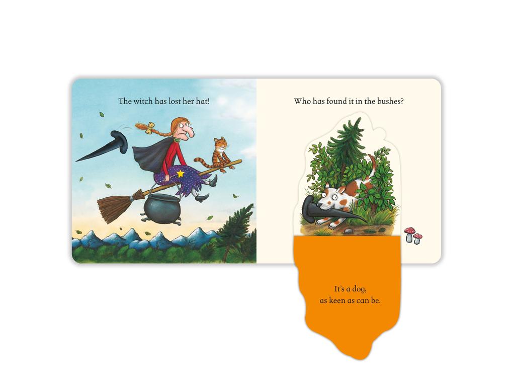 Weitere Ansicht: Room on the Broom | Julia Donaldson