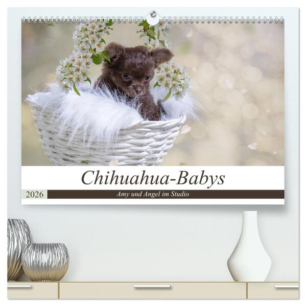 CATNEVERLAND Valentinstagskarte Mit Chihuahua – Premium-Karte Mit Rotem Umschlag, Personalisierbar