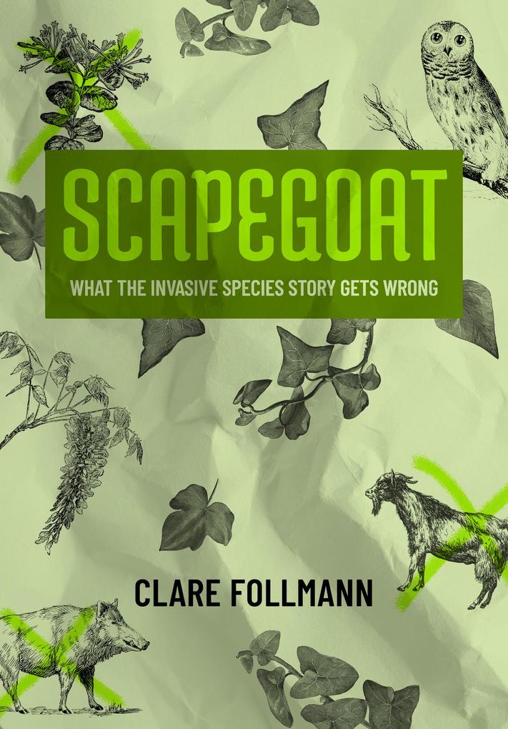 Produktbild: Scapegoat | Clare Follmann