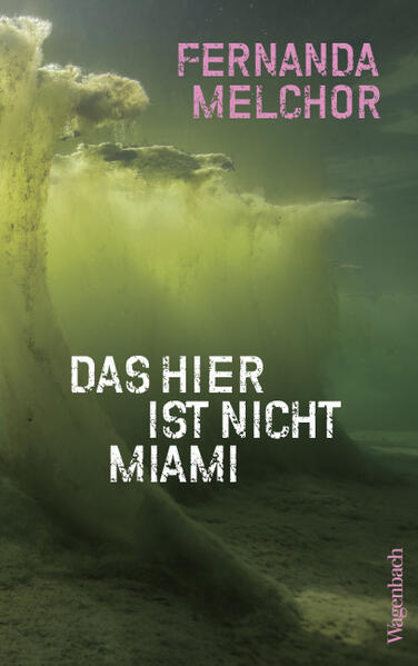 Produktbild: Das hier ist nicht Miami | Fernanda Melchor