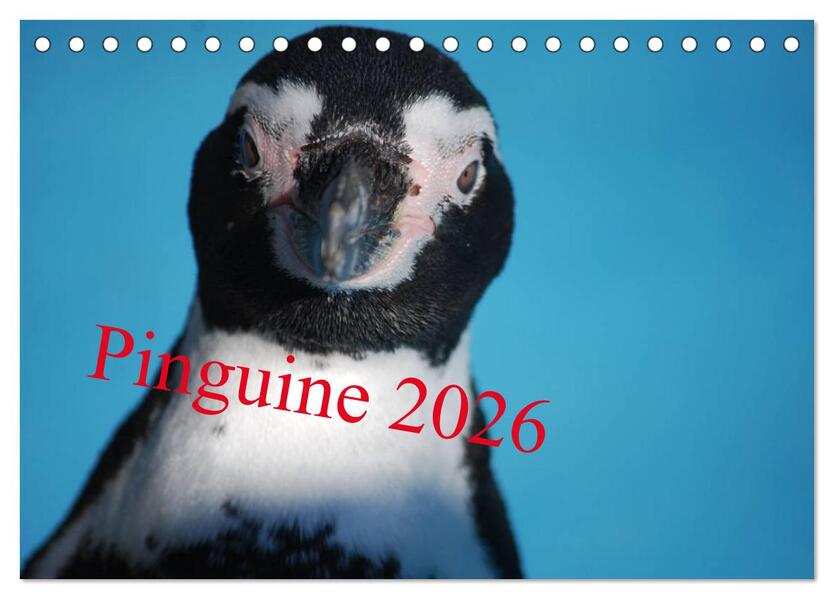 Produktbild: Pinguine 2026 (Tischkalender 2026 DIN A5 quer), CALVENDO Monatskalender | Calvendo, Ilka Groos