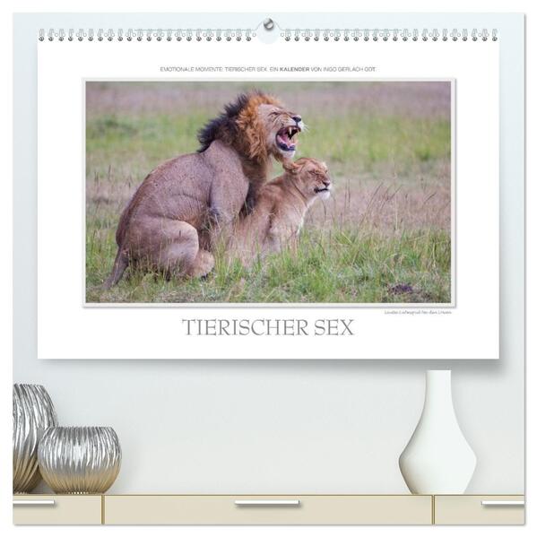Produktbild: Emotionale Momente: Tierischer Sex. (hochwertiger Premium Wandkalender 2026 DIN A2 quer), Kunstdruck in Hochglanz | Calvendo, Ingo Gerlach GDT