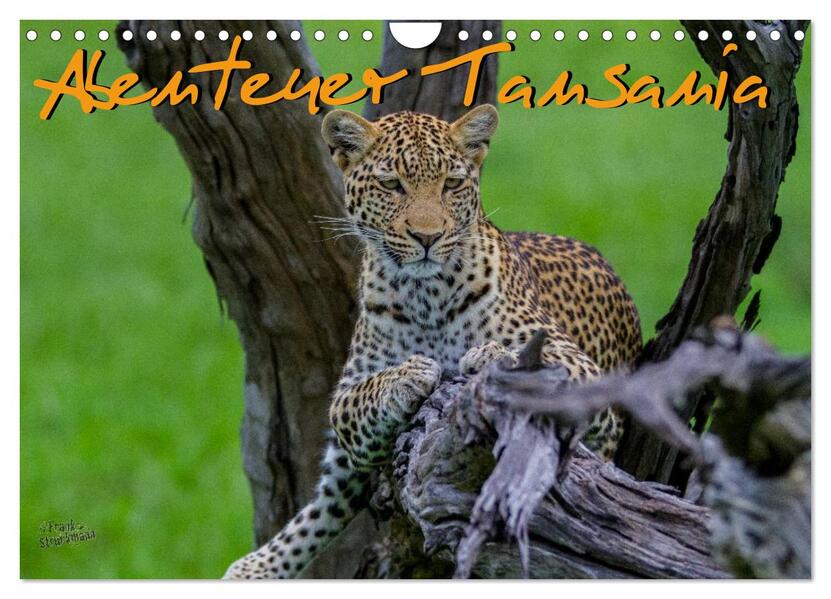 Produktbild: Abenteuer Tansania, Afrika (Wandkalender 2026 DIN A4 quer), CALVENDO Monatskalender | Frank Struckmann, Calvendo