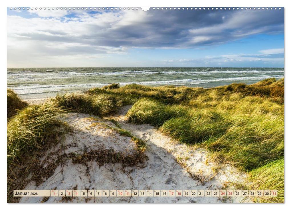 Weitere Ansicht: Fischland-Darß-Zingst 2026 Impressionen einer Halbinsel (Wandkalender 2026 DIN A2 quer), CALVENDO Monatskalender | Calvendo, Daniela Beyer (Moqui)