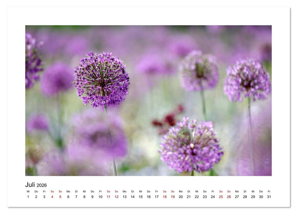 Weitere Ansicht: Garten-Idylle 2026 (hochwertiger Premium Wandkalender 2026 DIN A2 quer), Kunstdruck in Hochglanz | Calvendo, Tobias Trapp