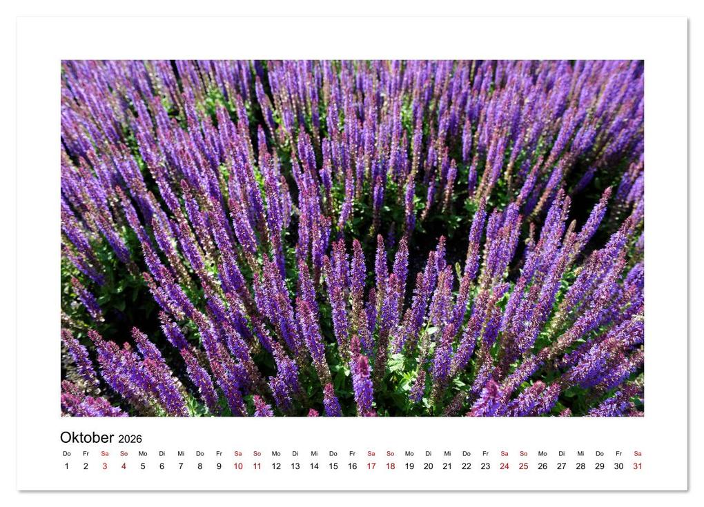 Weitere Ansicht: Garten-Idylle 2026 (hochwertiger Premium Wandkalender 2026 DIN A2 quer), Kunstdruck in Hochglanz | Calvendo, Tobias Trapp