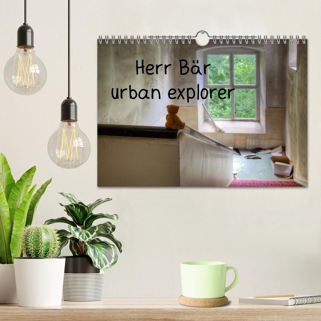 Weitere Ansicht: Herr Bär urban explorer (Wandkalender 2026 DIN A4 quer), CALVENDO Monatskalender | Oliver Buchmann, Calvendo