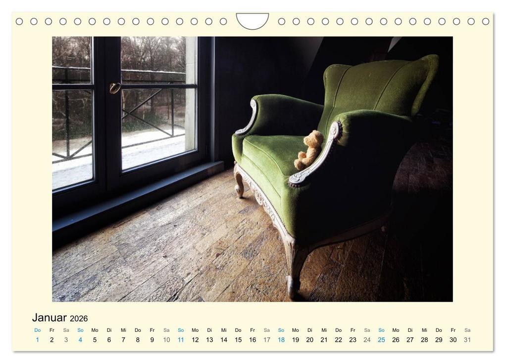 Weitere Ansicht: Herr Bär urban explorer (Wandkalender 2026 DIN A4 quer), CALVENDO Monatskalender | Oliver Buchmann, Calvendo