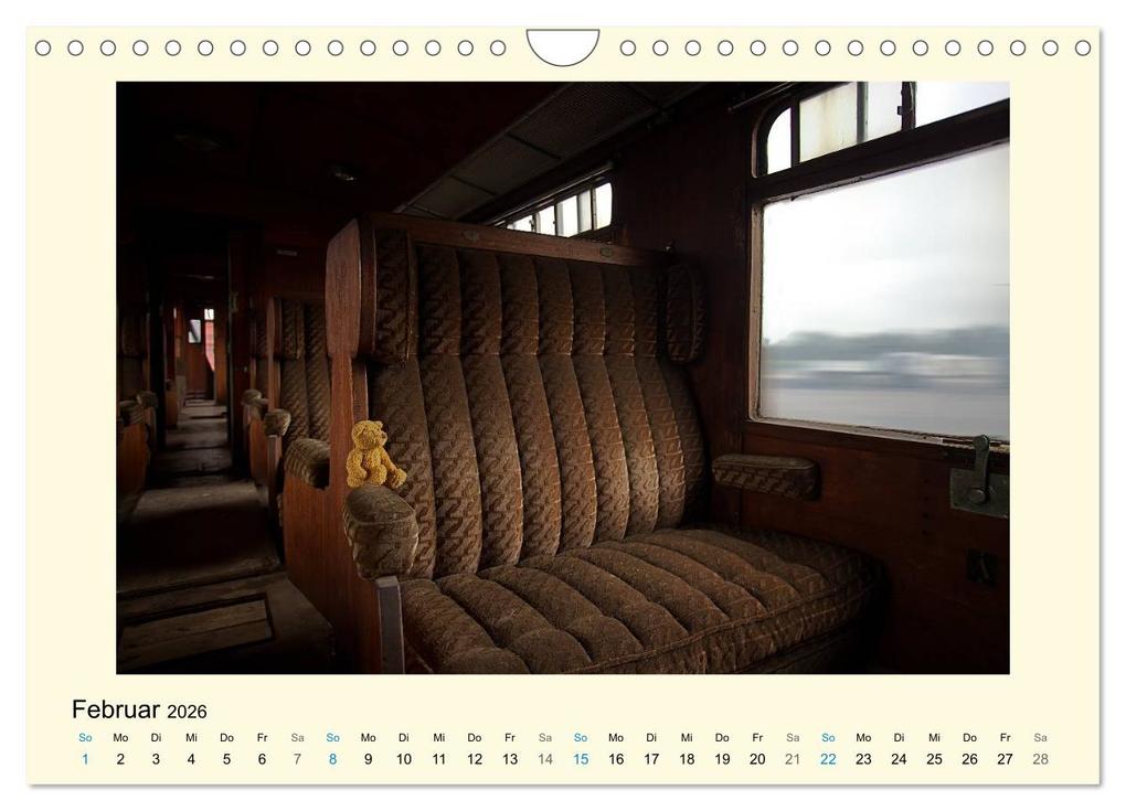 Weitere Ansicht: Herr Bär urban explorer (Wandkalender 2026 DIN A4 quer), CALVENDO Monatskalender | Oliver Buchmann, Calvendo