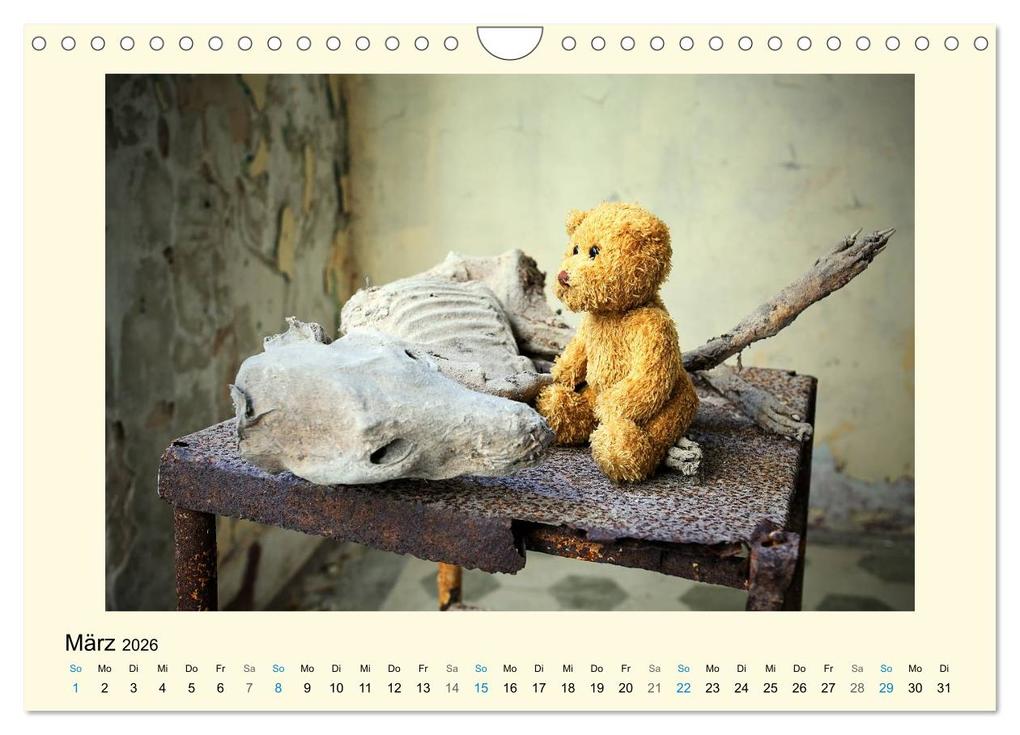 Weitere Ansicht: Herr Bär urban explorer (Wandkalender 2026 DIN A4 quer), CALVENDO Monatskalender | Oliver Buchmann, Calvendo