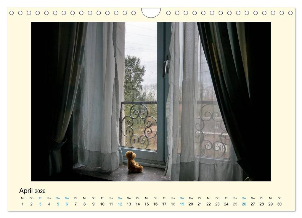 Weitere Ansicht: Herr Bär urban explorer (Wandkalender 2026 DIN A4 quer), CALVENDO Monatskalender | Oliver Buchmann, Calvendo