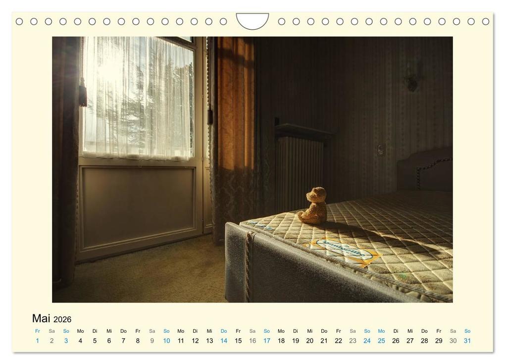 Weitere Ansicht: Herr Bär urban explorer (Wandkalender 2026 DIN A4 quer), CALVENDO Monatskalender | Oliver Buchmann, Calvendo