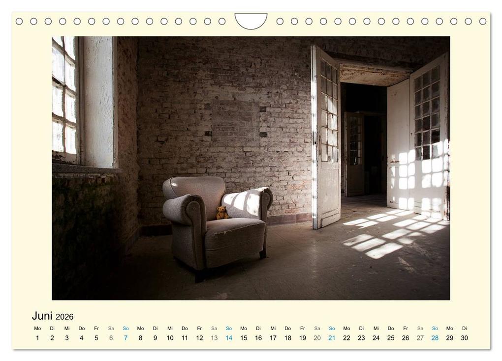 Weitere Ansicht: Herr Bär urban explorer (Wandkalender 2026 DIN A4 quer), CALVENDO Monatskalender | Oliver Buchmann, Calvendo