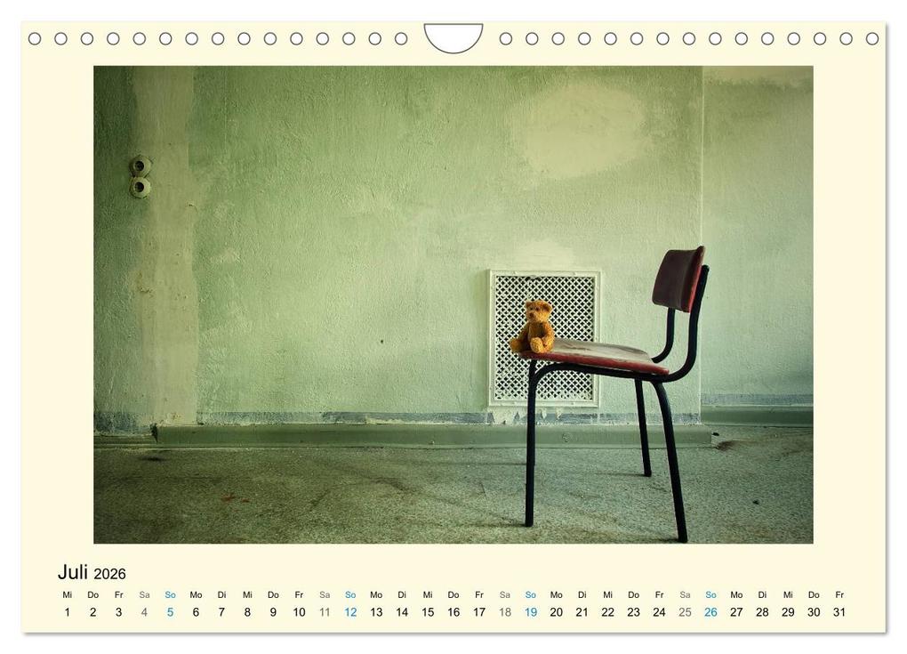 Weitere Ansicht: Herr Bär urban explorer (Wandkalender 2026 DIN A4 quer), CALVENDO Monatskalender | Oliver Buchmann, Calvendo