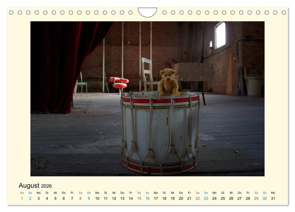 Weitere Ansicht: Herr Bär urban explorer (Wandkalender 2026 DIN A4 quer), CALVENDO Monatskalender | Oliver Buchmann, Calvendo