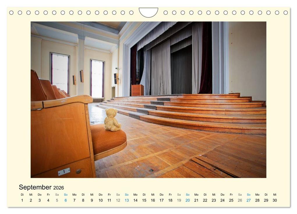 Weitere Ansicht: Herr Bär urban explorer (Wandkalender 2026 DIN A4 quer), CALVENDO Monatskalender | Oliver Buchmann, Calvendo