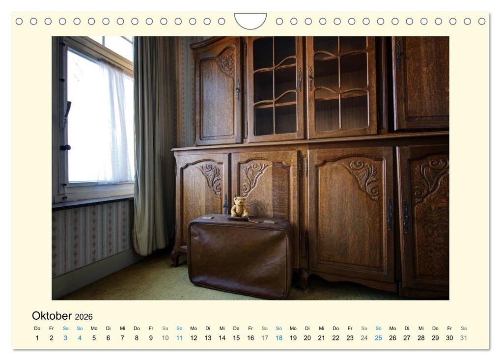 Weitere Ansicht: Herr Bär urban explorer (Wandkalender 2026 DIN A4 quer), CALVENDO Monatskalender | Oliver Buchmann, Calvendo