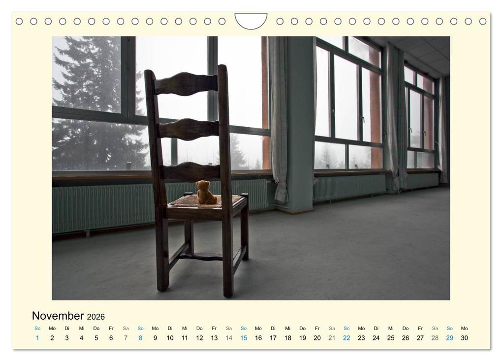 Weitere Ansicht: Herr Bär urban explorer (Wandkalender 2026 DIN A4 quer), CALVENDO Monatskalender | Oliver Buchmann, Calvendo