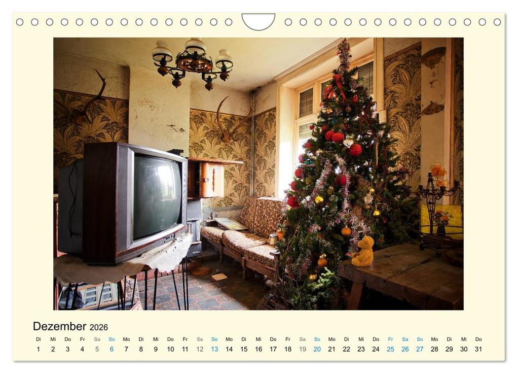 Weitere Ansicht: Herr Bär urban explorer (Wandkalender 2026 DIN A4 quer), CALVENDO Monatskalender | Oliver Buchmann, Calvendo