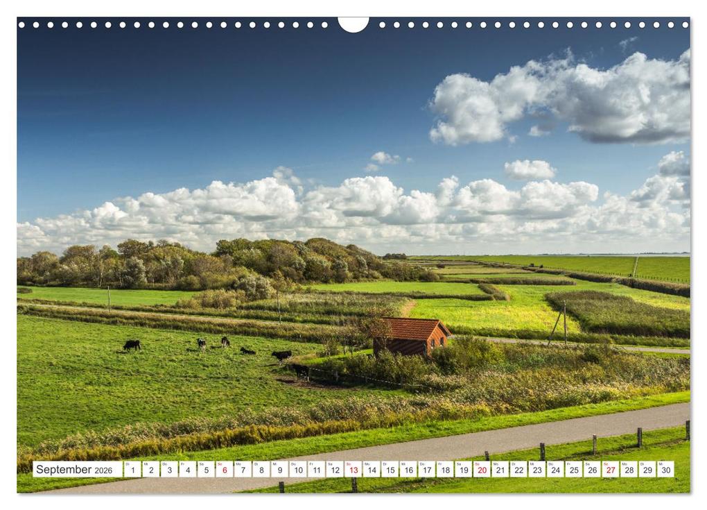 Weitere Ansicht: Schleswig-Holstein (Wandkalender 2026 DIN A3 quer), CALVENDO Monatskalender | Conny Pokorny, Calvendo