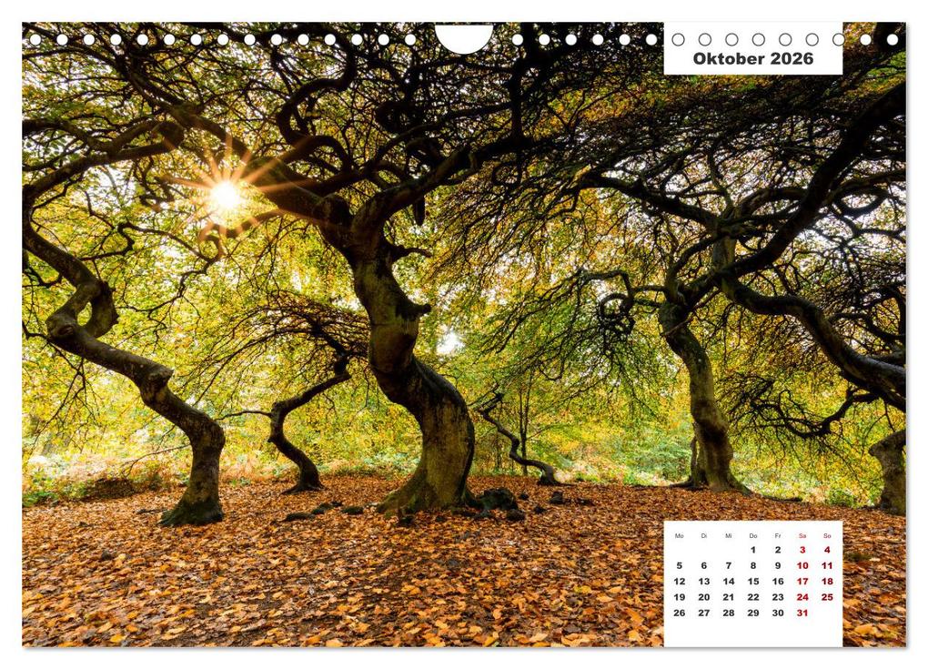 Weitere Ansicht: Rügen Panorama (Wandkalender 2026 DIN A4 quer), CALVENDO Monatskalender | Tilo Grellmann, Calvendo