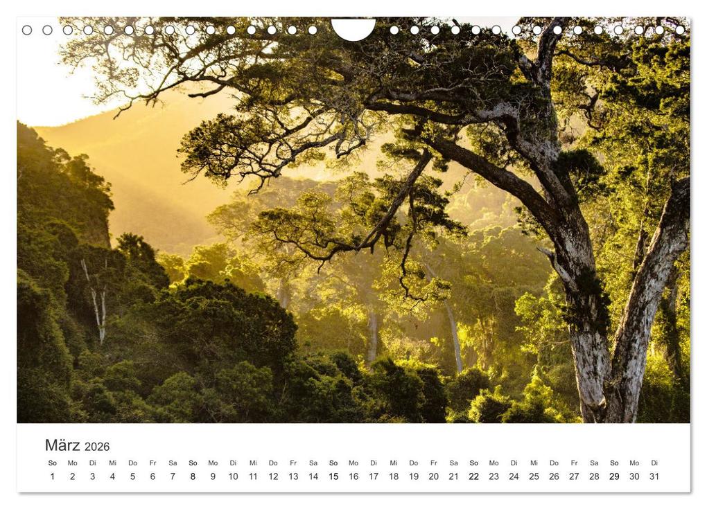 Weitere Ansicht: Bezauberndes Südafrika (Wandkalender 2026 DIN A4 quer), CALVENDO Monatskalender | Happy Monkey, Calvendo
