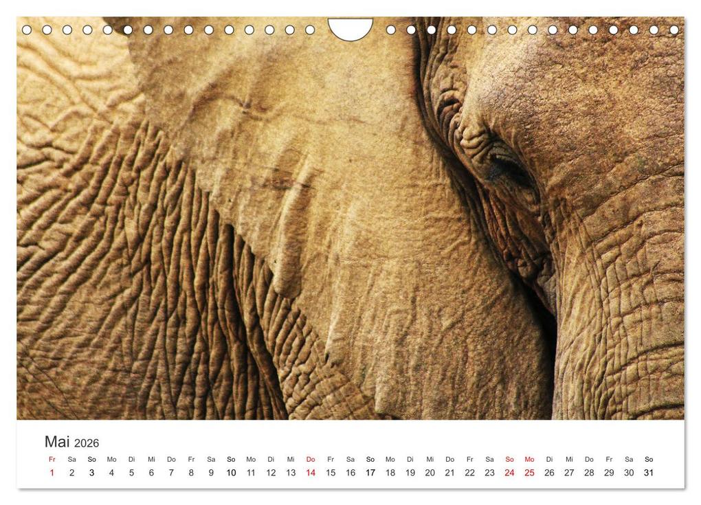 Weitere Ansicht: Bezauberndes Südafrika (Wandkalender 2026 DIN A4 quer), CALVENDO Monatskalender | Happy Monkey, Calvendo