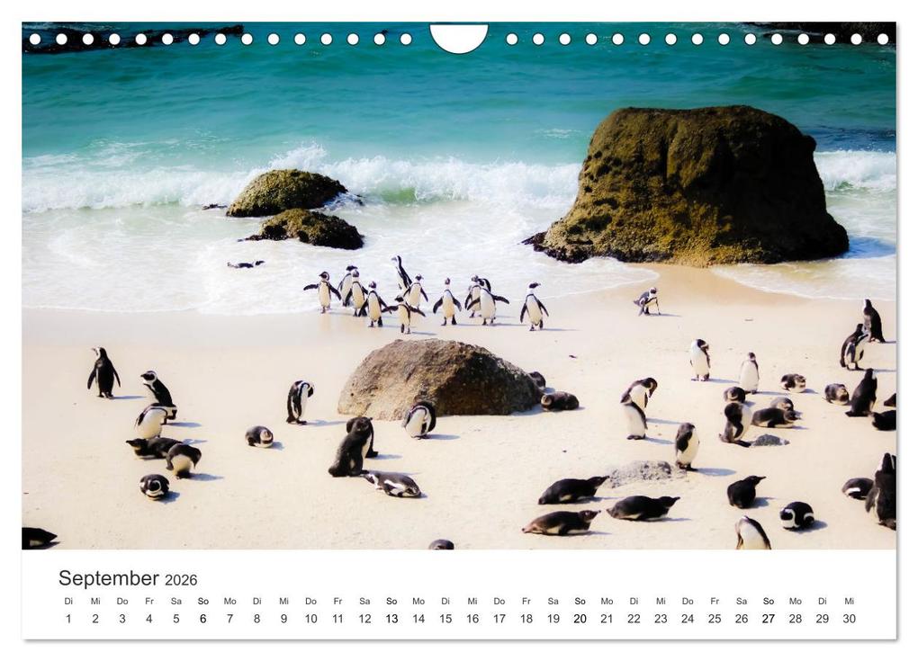 Weitere Ansicht: Bezauberndes Südafrika (Wandkalender 2026 DIN A4 quer), CALVENDO Monatskalender | Happy Monkey, Calvendo
