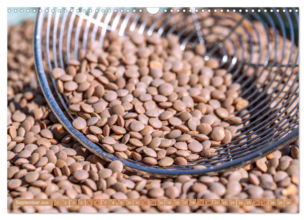 Weitere Ansicht: Bohnen Erbsen Linsen (Wandkalender 2026 DIN A3 quer), CALVENDO Monatskalender | Hanna Wagner, Calvendo