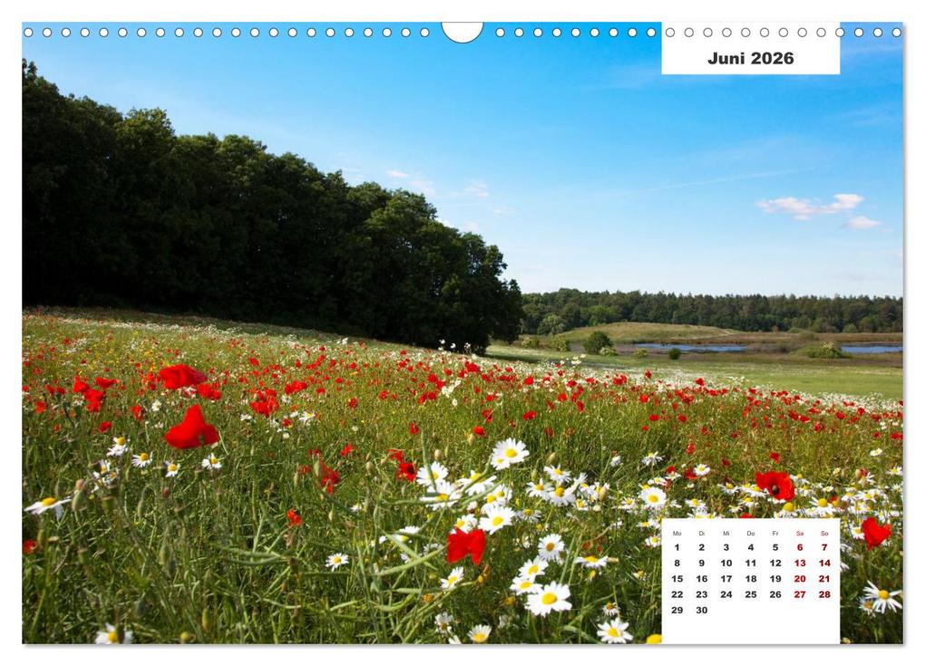 Weitere Ansicht: Rügen Panorama (Wandkalender 2026 DIN A3 quer), CALVENDO Monatskalender | Tilo Grellmann, Calvendo
