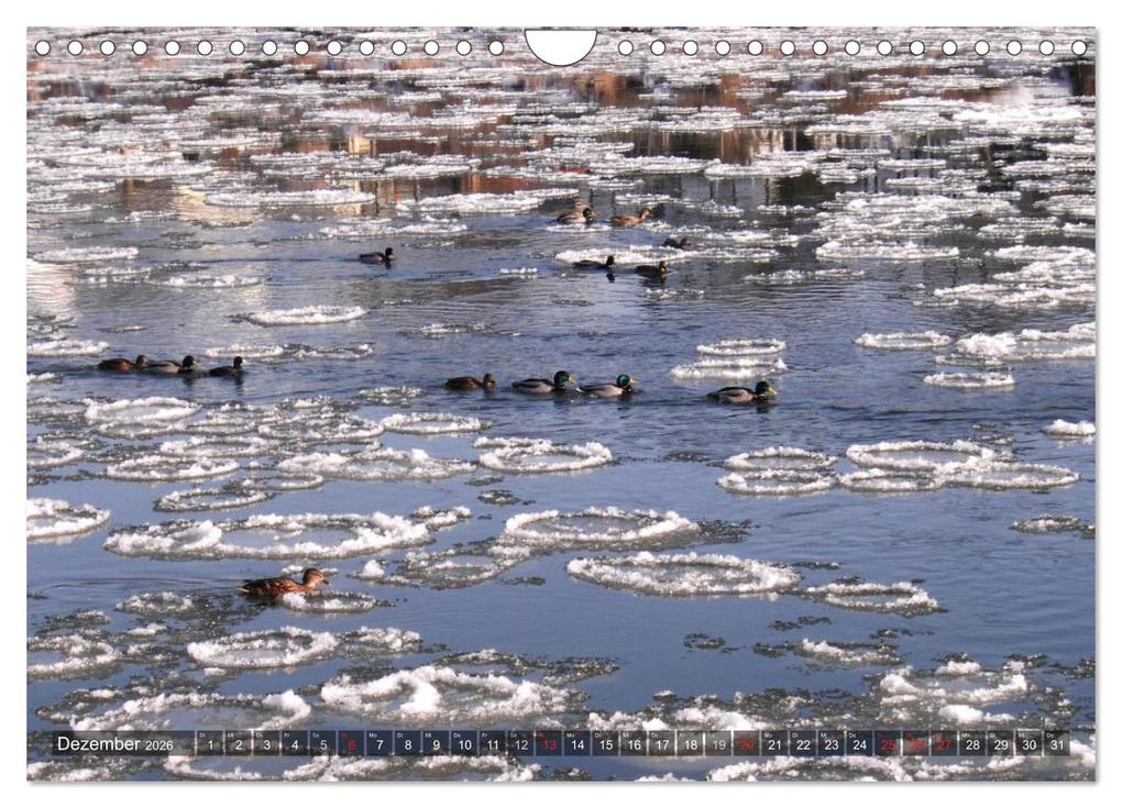 Weitere Ansicht: Feng Shui Farben - Element Wasser (Wandkalender 2026 DIN A4 quer), CALVENDO Monatskalender | Sonja Teßen, Calvendo