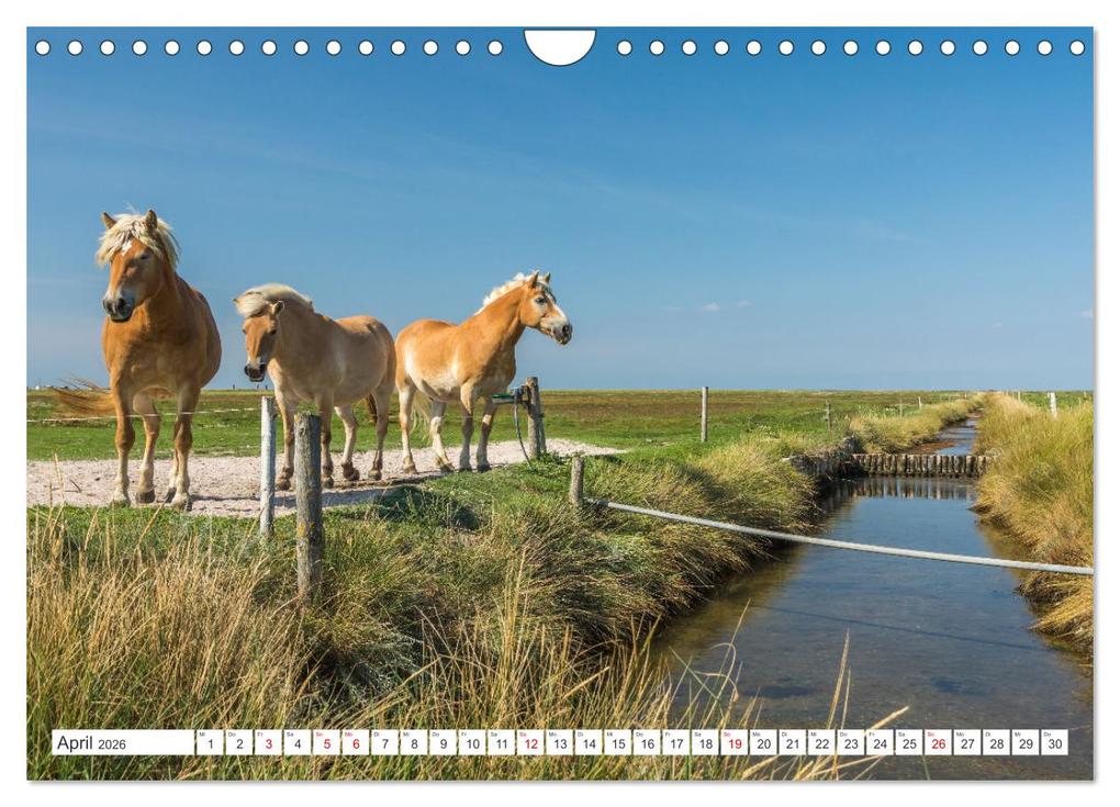 Weitere Ansicht: Schleswig-Holstein (Wandkalender 2026 DIN A4 quer), CALVENDO Monatskalender | Conny Pokorny, Calvendo