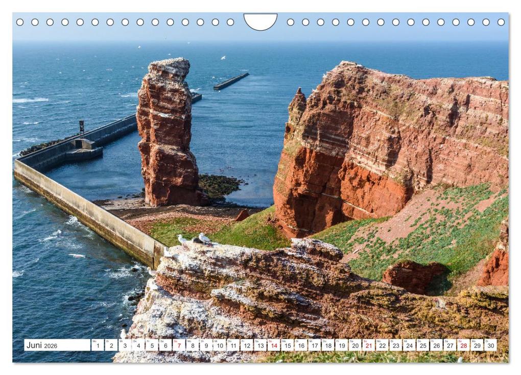 Weitere Ansicht: Schleswig-Holstein (Wandkalender 2026 DIN A4 quer), CALVENDO Monatskalender | Conny Pokorny, Calvendo