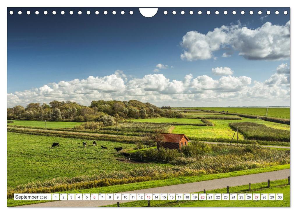 Weitere Ansicht: Schleswig-Holstein (Wandkalender 2026 DIN A4 quer), CALVENDO Monatskalender | Conny Pokorny, Calvendo