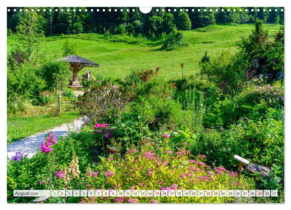 Weitere Ansicht: Unterwegs im Bergsteigerdorf Ramsau (Wandkalender 2026 DIN A3 quer), CALVENDO Monatskalender | Dieter Wilczek, Calvendo