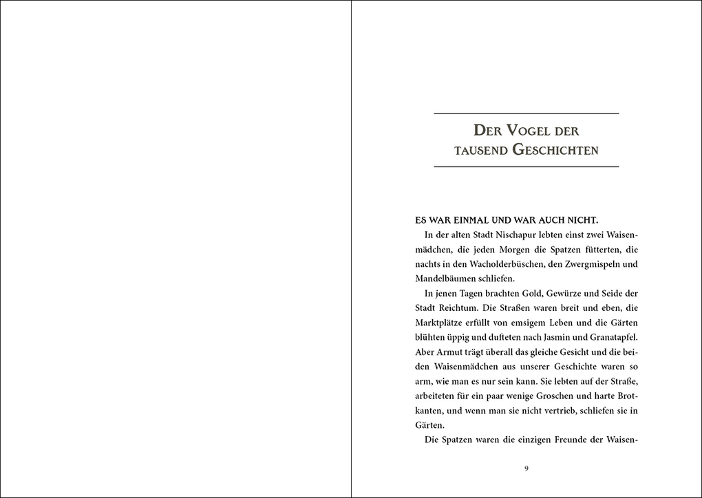 Weitere Ansicht: Hidden Creatures (Band 2) - Der Vogel der tausend Geschichten | Kiyash Monsef