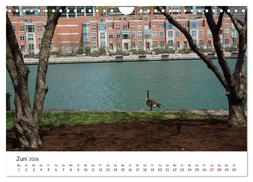 Weitere Ansicht: beeindruckendes Chicago (Wandkalender 2026 DIN A4 quer), CALVENDO Monatskalender | Martina Kröger, Calvendo