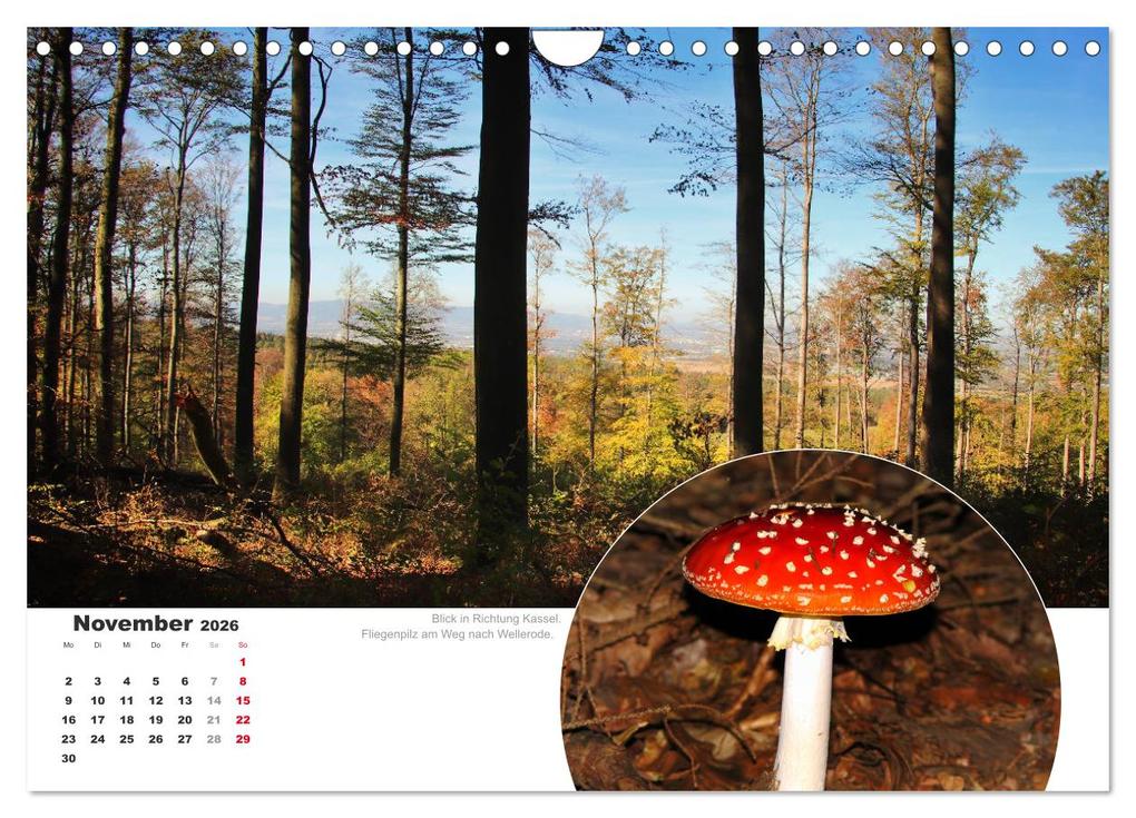 Weitere Ansicht: Der Grimmsteig (Wandkalender 2026 DIN A4 quer), CALVENDO Monatskalender | Sabine Löwer, Calvendo