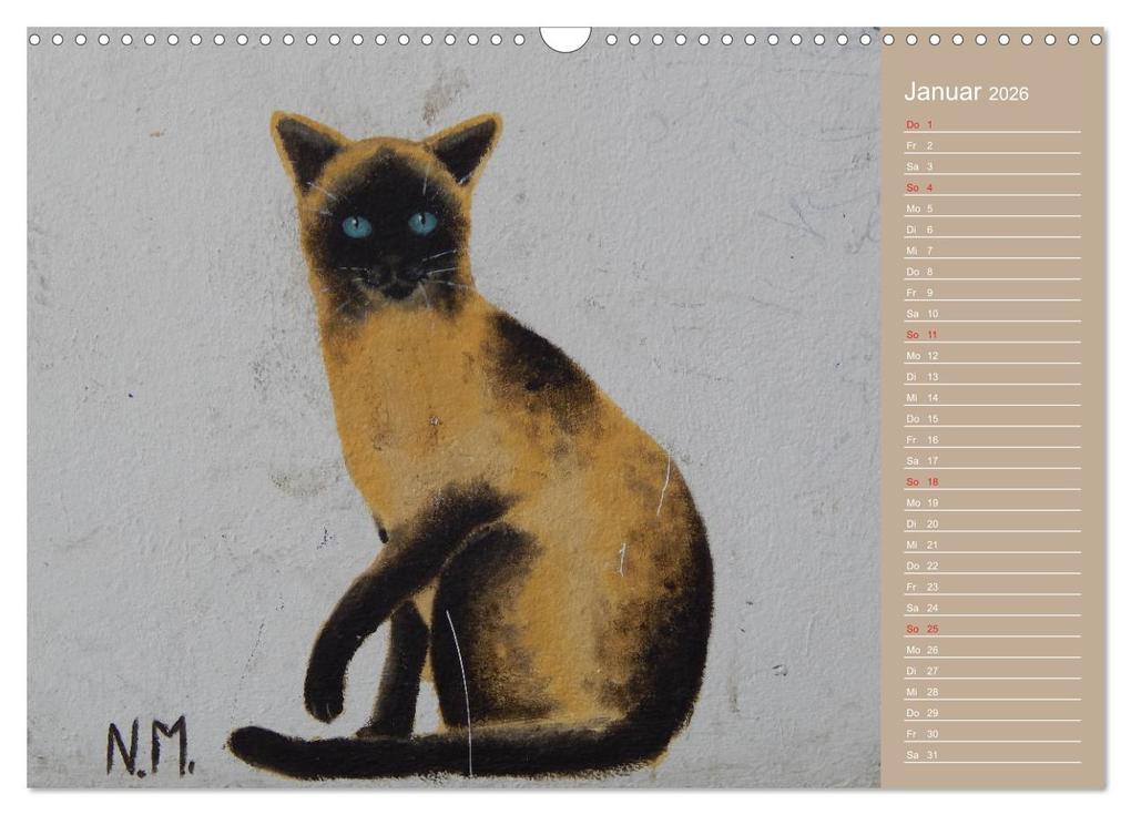 Weitere Ansicht: Flensburger Katzen (Wandkalender 2026 DIN A3 quer), CALVENDO Monatskalender | Martina Busch, Calvendo