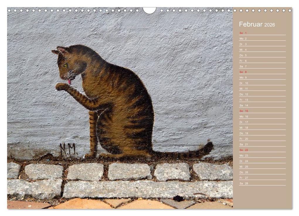 Weitere Ansicht: Flensburger Katzen (Wandkalender 2026 DIN A3 quer), CALVENDO Monatskalender | Martina Busch, Calvendo