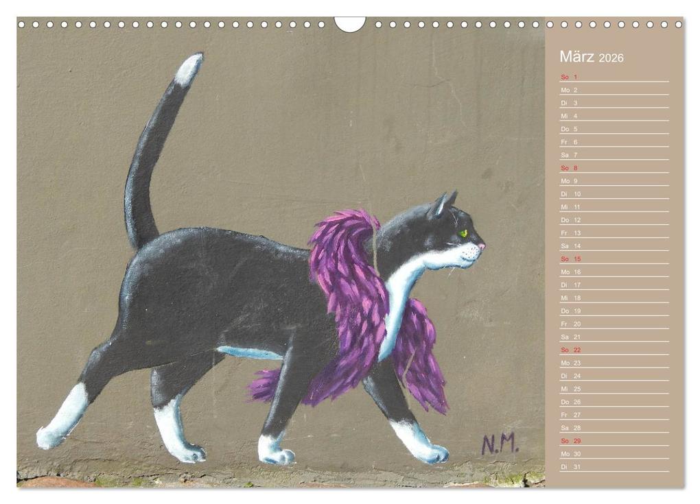 Weitere Ansicht: Flensburger Katzen (Wandkalender 2026 DIN A3 quer), CALVENDO Monatskalender | Martina Busch, Calvendo