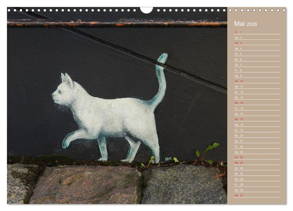 Weitere Ansicht: Flensburger Katzen (Wandkalender 2026 DIN A3 quer), CALVENDO Monatskalender | Martina Busch, Calvendo