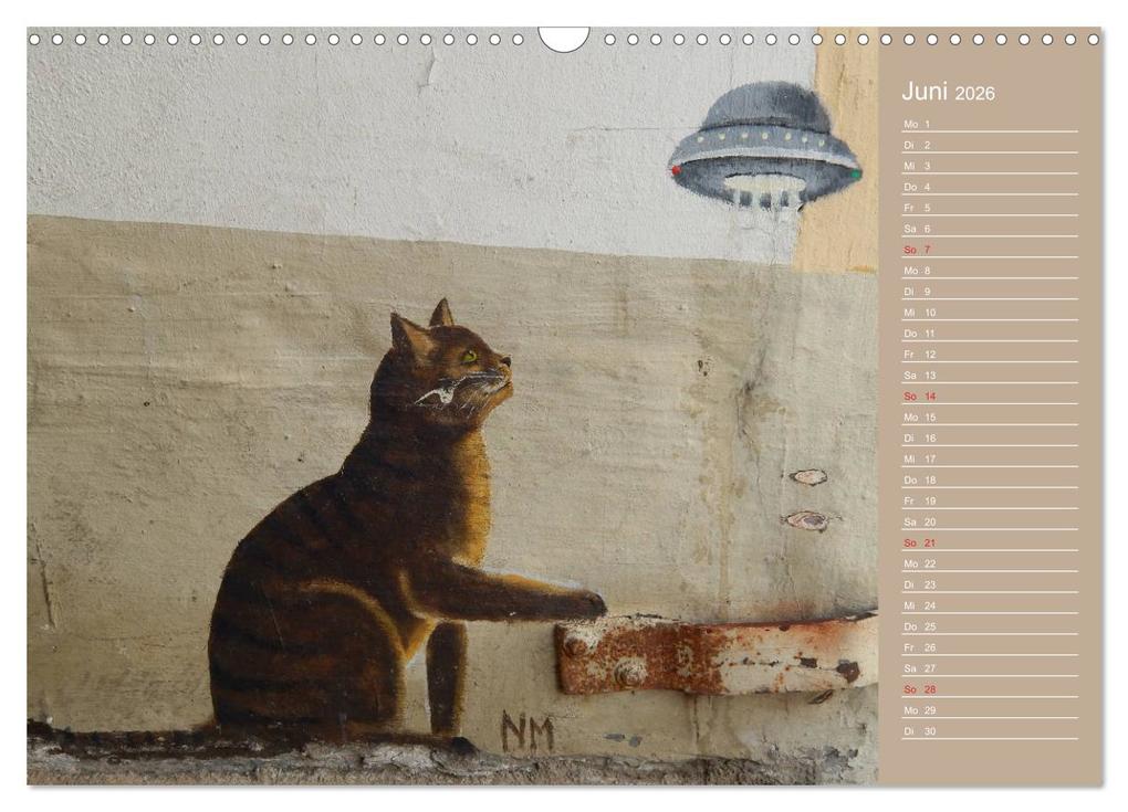 Weitere Ansicht: Flensburger Katzen (Wandkalender 2026 DIN A3 quer), CALVENDO Monatskalender | Martina Busch, Calvendo