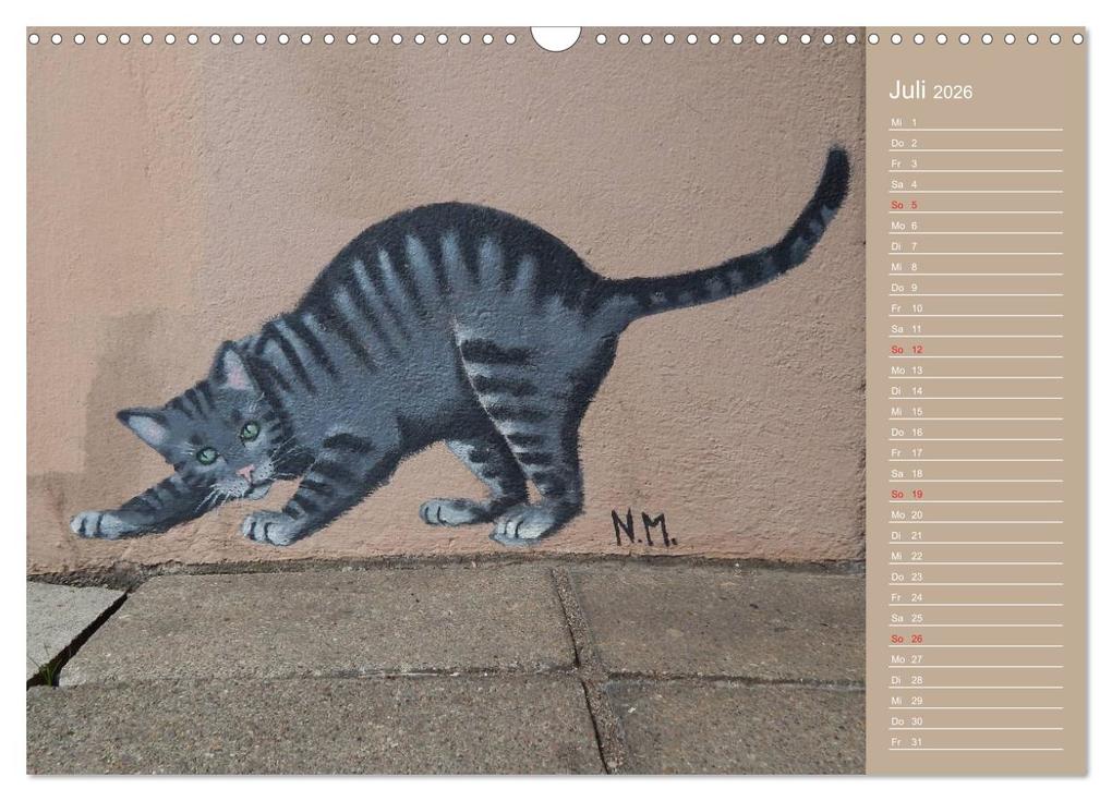 Weitere Ansicht: Flensburger Katzen (Wandkalender 2026 DIN A3 quer), CALVENDO Monatskalender | Martina Busch, Calvendo
