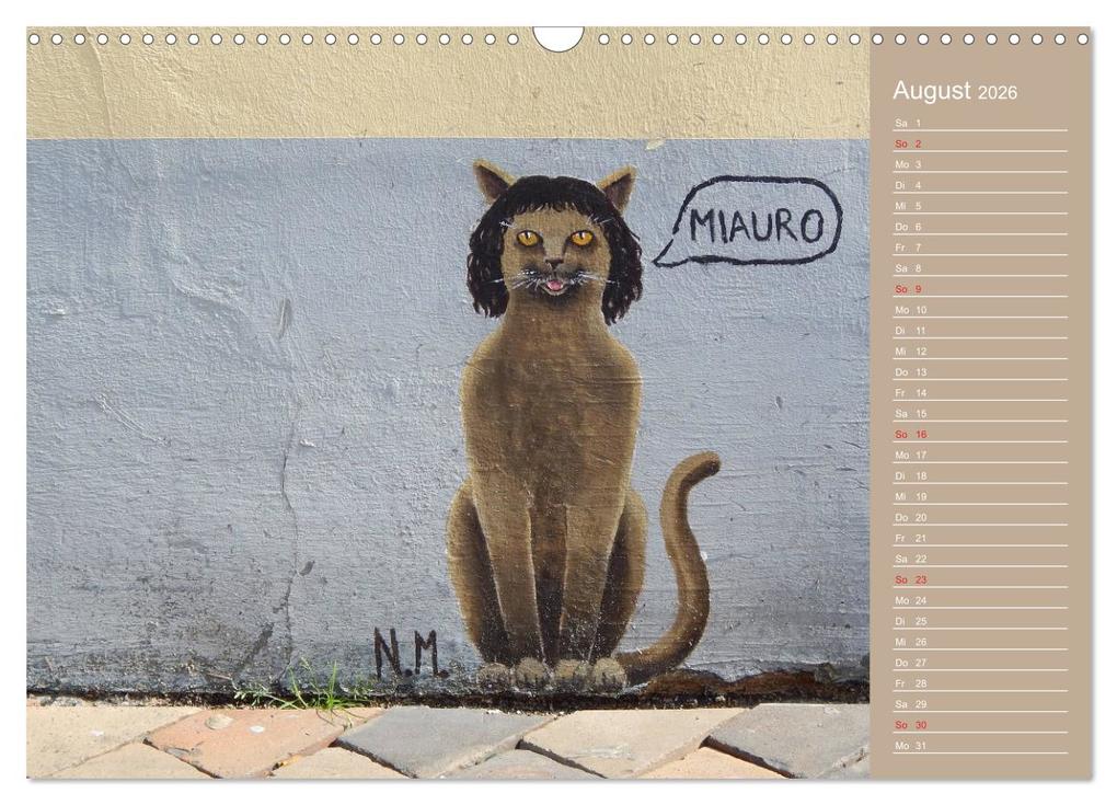 Weitere Ansicht: Flensburger Katzen (Wandkalender 2026 DIN A3 quer), CALVENDO Monatskalender | Martina Busch, Calvendo