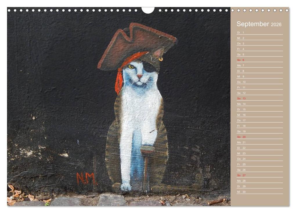Weitere Ansicht: Flensburger Katzen (Wandkalender 2026 DIN A3 quer), CALVENDO Monatskalender | Martina Busch, Calvendo