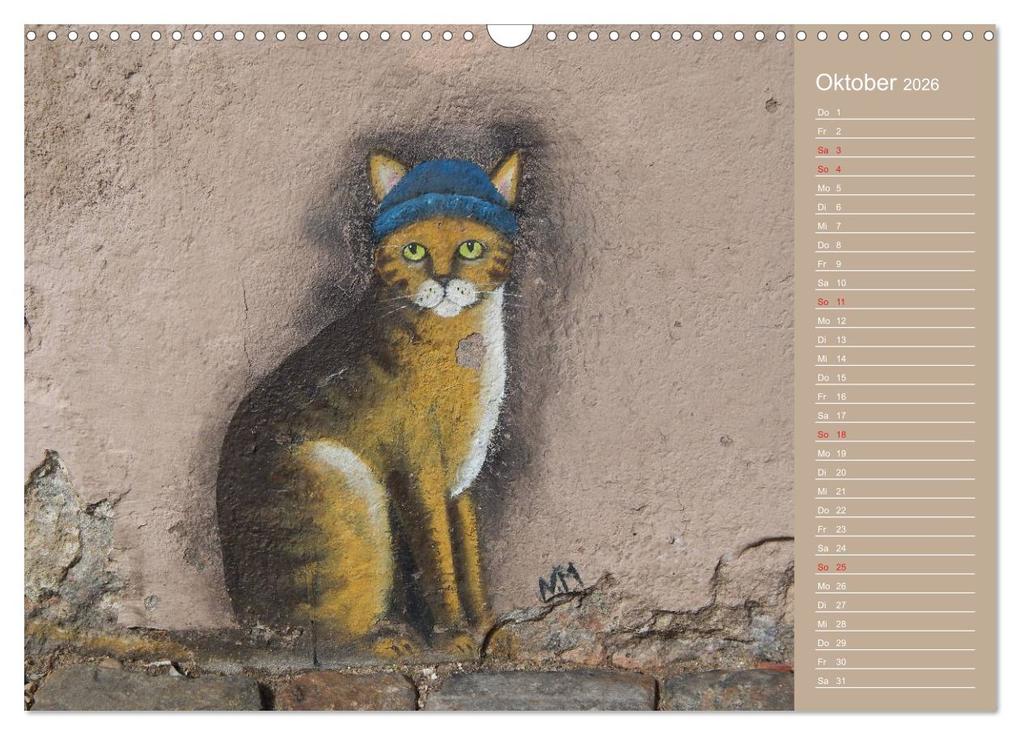 Weitere Ansicht: Flensburger Katzen (Wandkalender 2026 DIN A3 quer), CALVENDO Monatskalender | Martina Busch, Calvendo