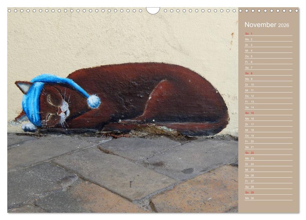 Weitere Ansicht: Flensburger Katzen (Wandkalender 2026 DIN A3 quer), CALVENDO Monatskalender | Martina Busch, Calvendo