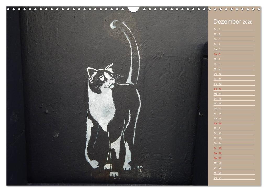 Weitere Ansicht: Flensburger Katzen (Wandkalender 2026 DIN A3 quer), CALVENDO Monatskalender | Martina Busch, Calvendo
