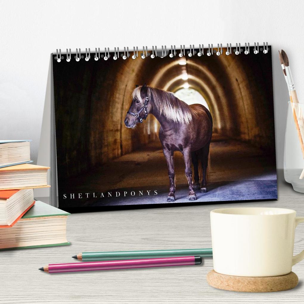 Weitere Ansicht: Shetlandpony Kalender (Tischkalender 2026 DIN A5 quer), CALVENDO Monatskalender | Nina D. Fotografie, Calvendo